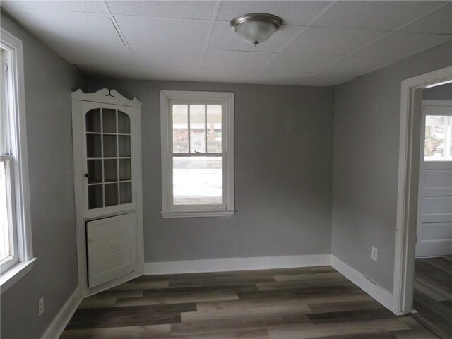 spare room featuring a paneled ceiling, dark hardwood / wood-style flooring, and a wealth of natural light