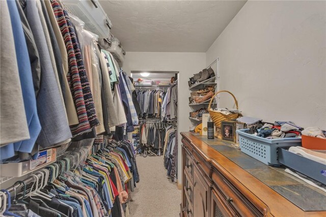 walk in closet featuring light colored carpet