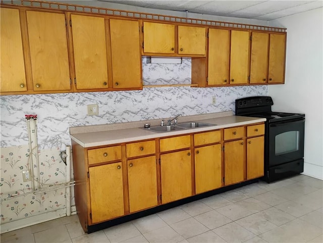 kitchen with black electric range oven and sink