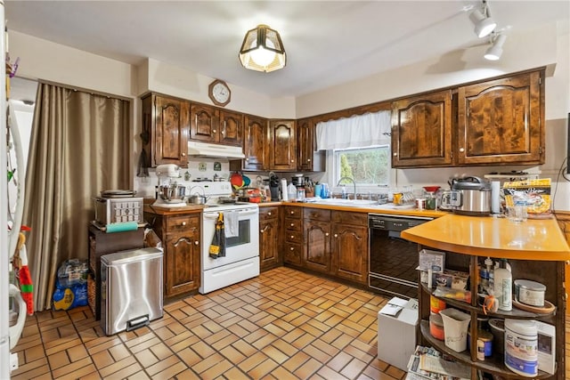 kitchen with dark brown cabinets, black dishwasher, sink, and electric range