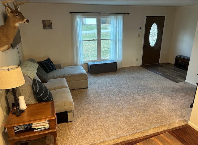 living room with carpet