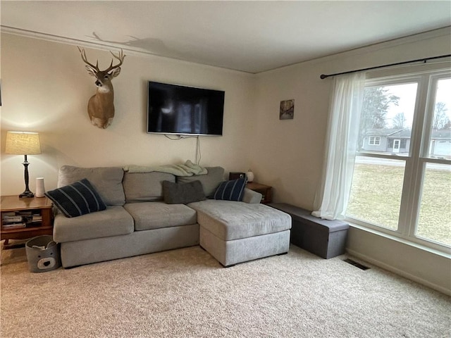 living room with a healthy amount of sunlight and carpet flooring