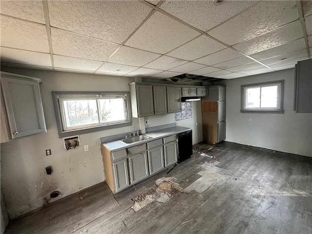 kitchen with gray cabinetry, sink, a drop ceiling, and refrigerator