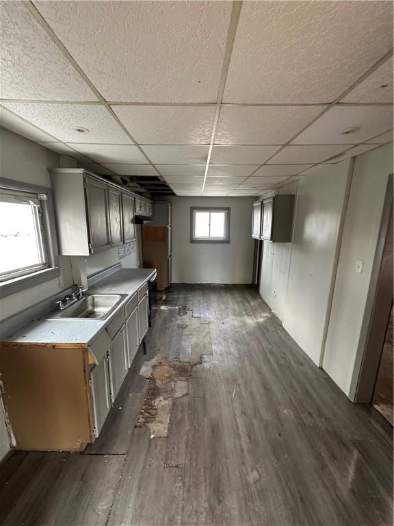 kitchen with sink, dark wood-type flooring, and a drop ceiling