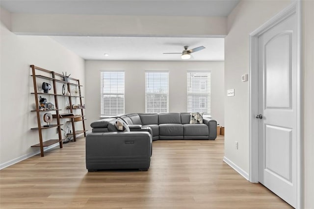 living room with ceiling fan and light hardwood / wood-style flooring