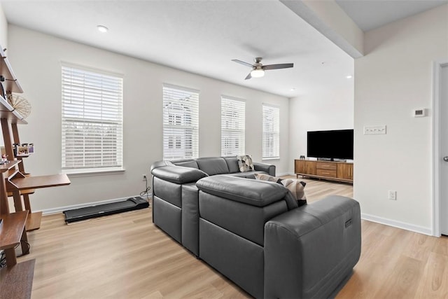 living room with ceiling fan and light hardwood / wood-style flooring