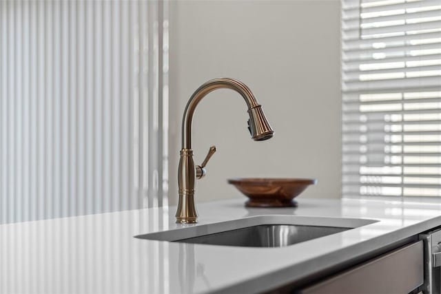 interior details featuring sink