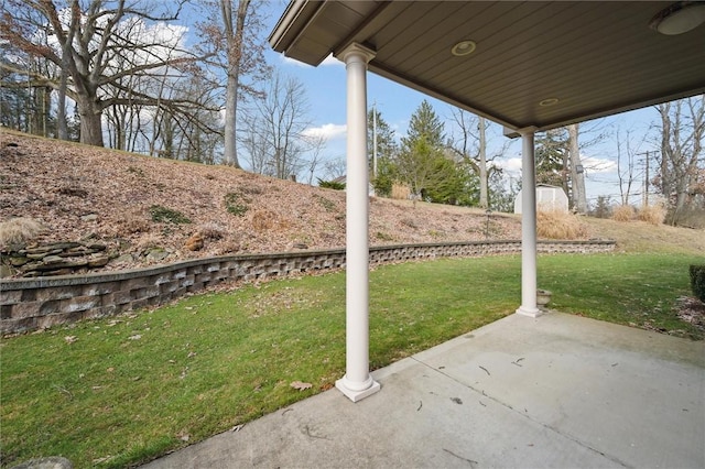 view of yard featuring a patio area