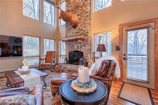 living room with hardwood / wood-style flooring and a healthy amount of sunlight