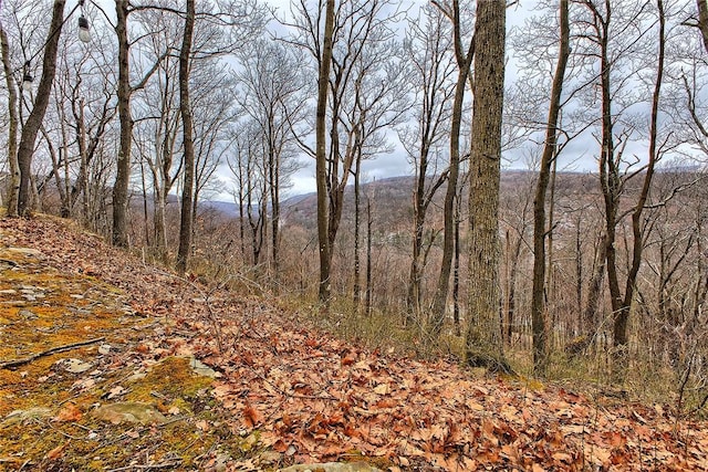 view of nature featuring a mountain view