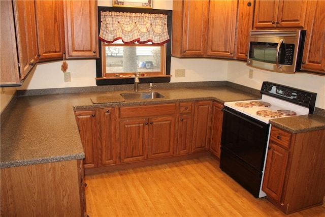 kitchen featuring range with electric cooktop, sink, and light hardwood / wood-style flooring