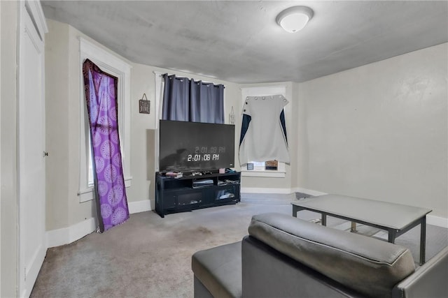 living room with carpet floors