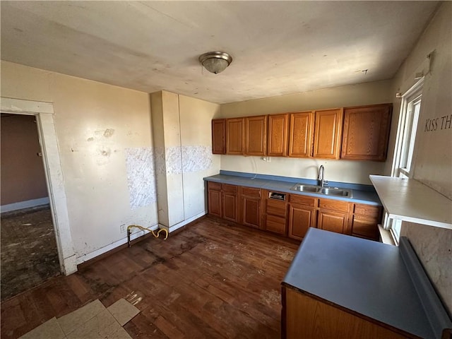 kitchen with sink and dark hardwood / wood-style floors