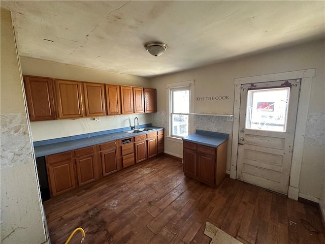 kitchen featuring sink and dark wood-type flooring