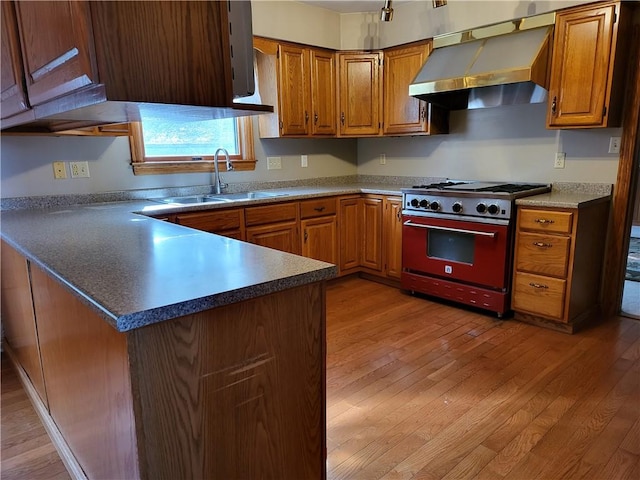 kitchen featuring ventilation hood, sink, range, and light wood-type flooring