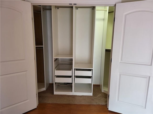 view of closet