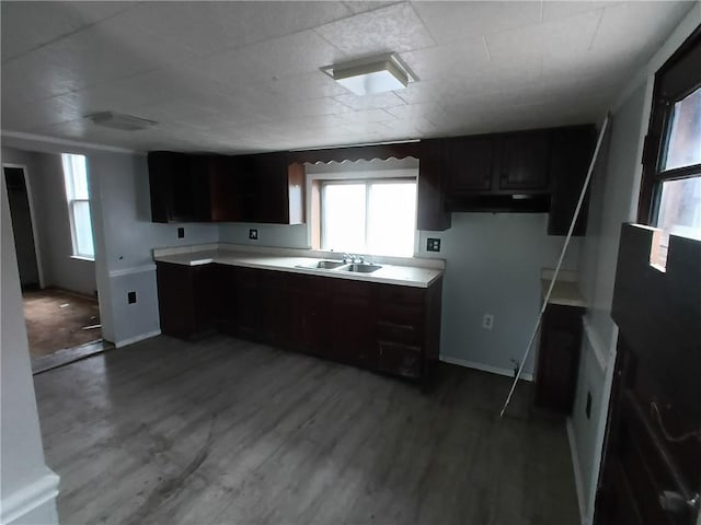 kitchen featuring dark brown cabinetry, sink, and hardwood / wood-style floors