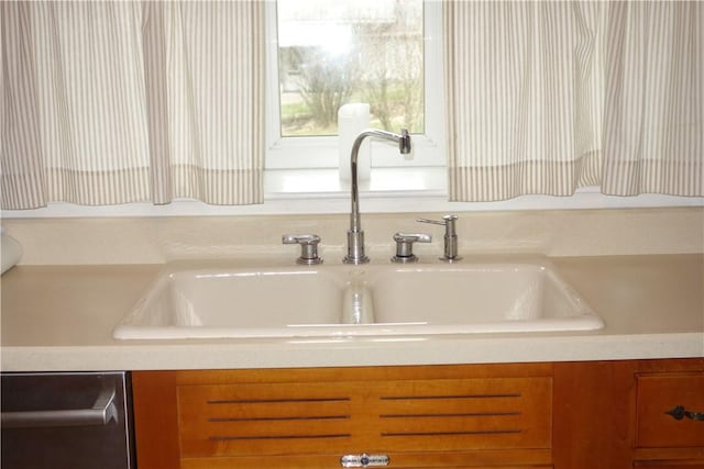 room details with stainless steel dishwasher and sink