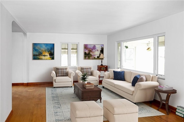 living room featuring hardwood / wood-style flooring and plenty of natural light