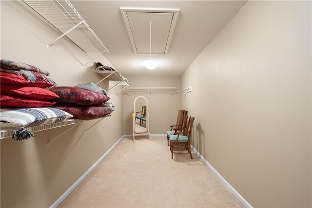 walk in closet featuring carpet floors