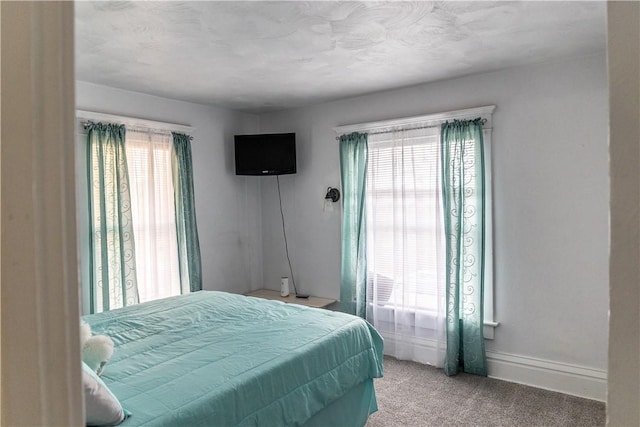 bedroom featuring multiple windows and light colored carpet