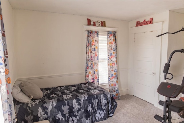 carpeted bedroom with multiple windows