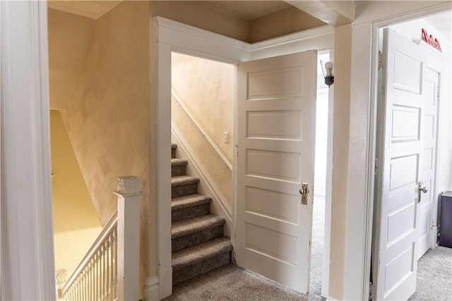 staircase featuring carpet floors