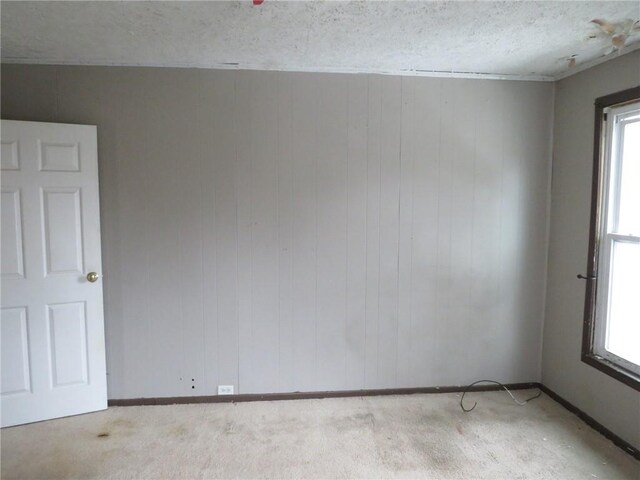 carpeted spare room featuring a wealth of natural light