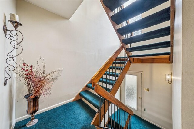 staircase featuring carpet flooring