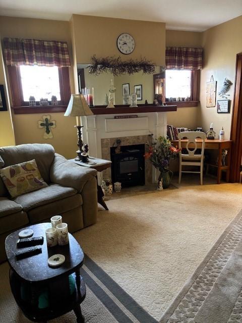 living room featuring carpet floors