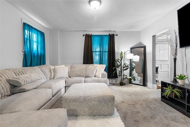 living room with carpet floors and a textured ceiling