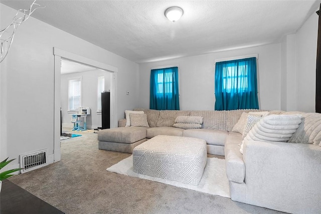 carpeted living room featuring a textured ceiling