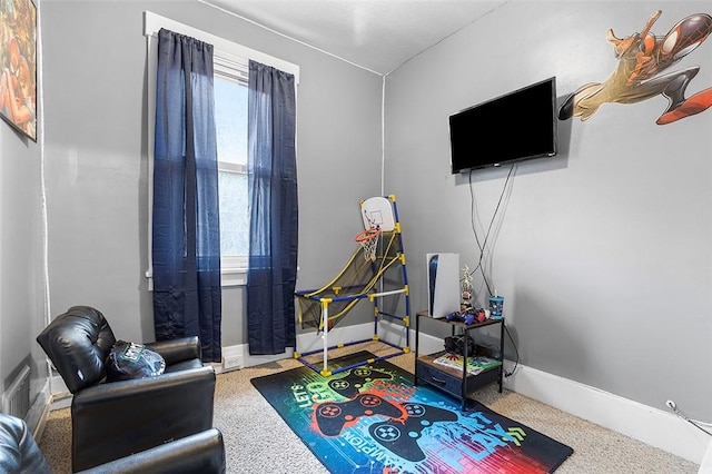 recreation room with carpet floors