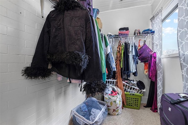 walk in closet with carpet floors