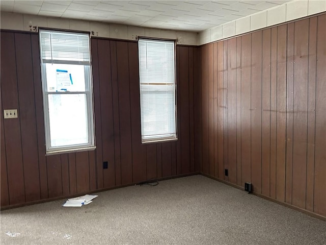 empty room with light colored carpet and wood walls