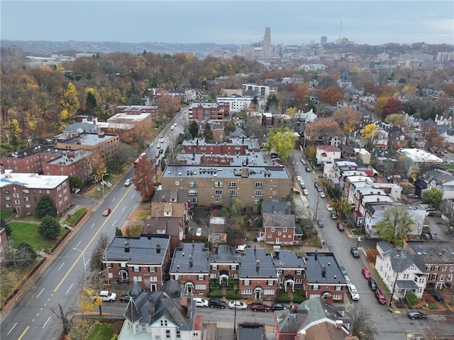 bird's eye view