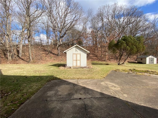 view of yard with a shed