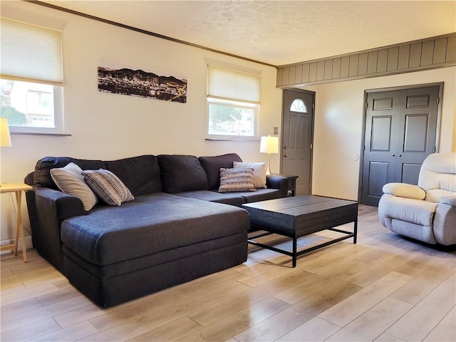 living room featuring crown molding, light hardwood / wood-style floors, and a textured ceiling