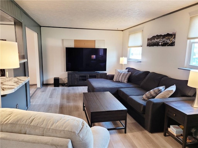 living room featuring crown molding, light hardwood / wood-style flooring, and a textured ceiling