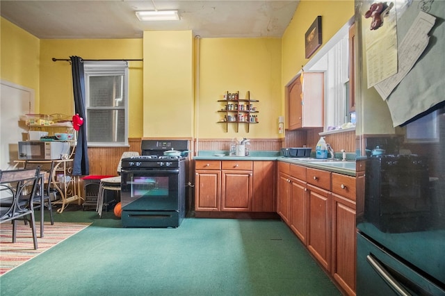 kitchen with black gas stove and sink