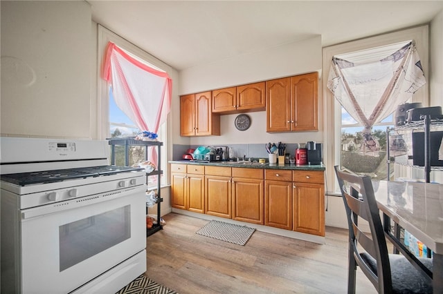 kitchen featuring sink, white gas stove, and light hardwood / wood-style floors