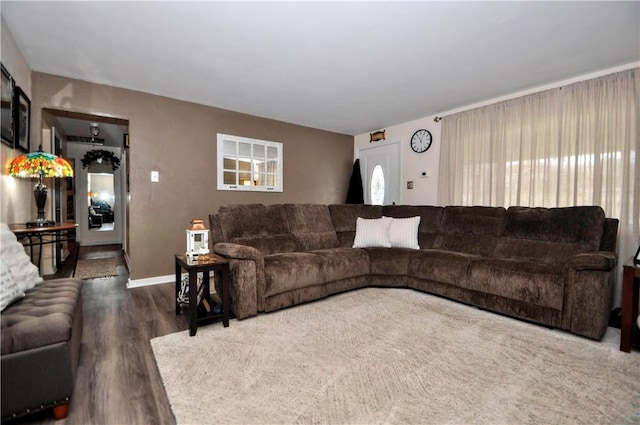 living room featuring hardwood / wood-style floors