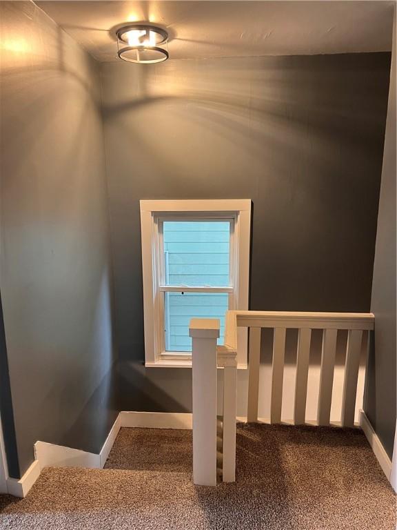 staircase featuring carpet flooring