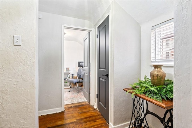 hallway with dark hardwood / wood-style flooring