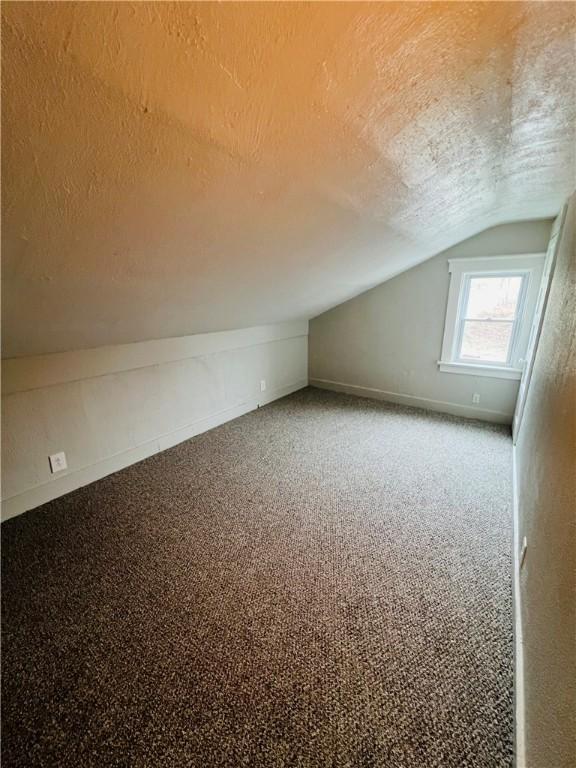 bonus room featuring vaulted ceiling, a textured ceiling, and carpet flooring