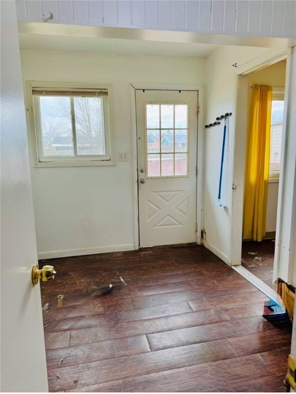 doorway featuring dark wood-type flooring and a healthy amount of sunlight