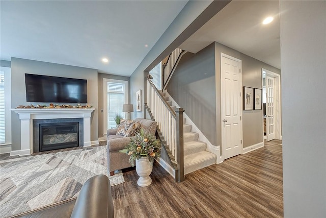 living room featuring wood-type flooring