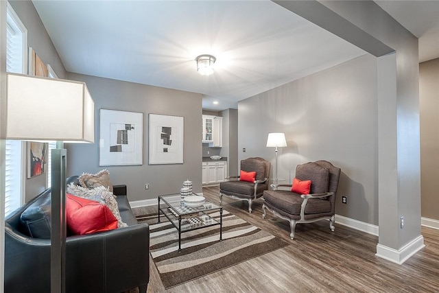 living area featuring hardwood / wood-style floors