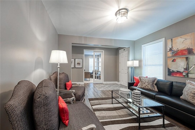 living room featuring hardwood / wood-style flooring