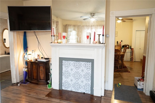 living room with ceiling fan and hardwood / wood-style floors